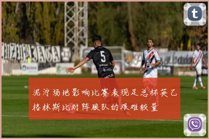 泥泞场地影响比赛表现足总杯英乙格林斯比对阵狼队的艰难较量