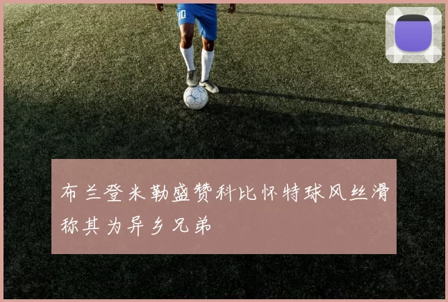 布兰登米勒盛赞科比怀特球风丝滑称其为异乡兄弟