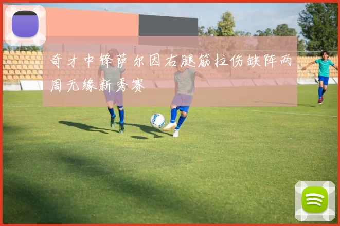 奇才中锋萨尔因右腿筋拉伤缺阵两周无缘新秀赛