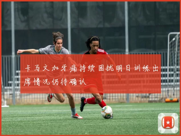 卡马文加牙痛持续困扰明日训练出席情况仍待确认
